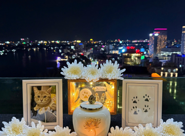 Bé Mướp